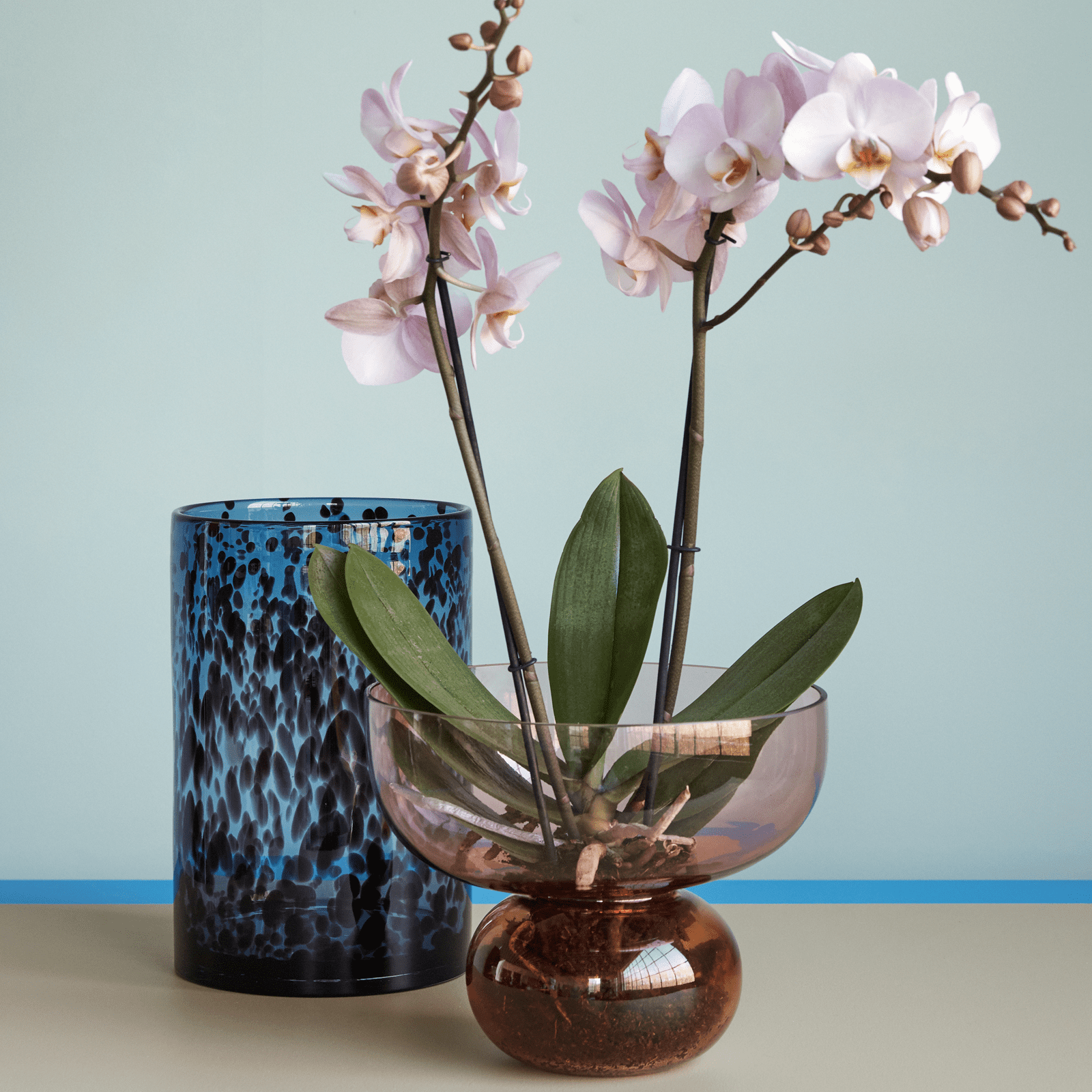 Vase aus Glas Lys & Hedde